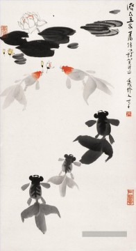  goldfish - Wu Zuoren Goldfish et nénuphar vieille Chine à l’encre
